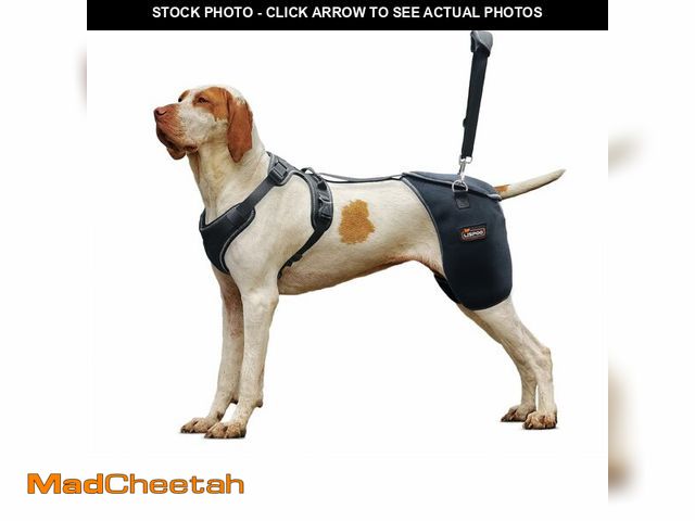 Lot 74-13545369 - LISPOO Dog Hip Support Brace - Adjustable Dog Leg Brace for Hip Dysplasia/Arthritis/Pain Relief, War...