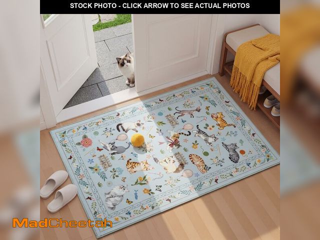Lot 74-14303348 - Unirea 2x3 Small Light Blue Grey Washable Cat Area Rug, Door Mat Indoor Entrance Rug, Non Slip Thin ...