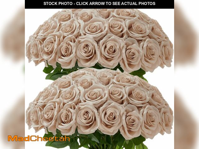 Lot 74-14265573 - CarlitaÃ¢â¬Ës Blooms 50Pcs Nude Roses Artificial Flowers Artificial Silk Roses Bulk,Fake Roses Flo...