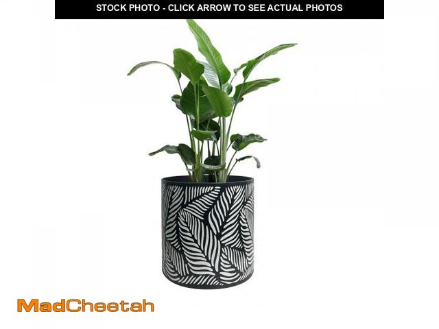 Lot 74-12520911 - fuxuiwy Flower Pot 12 Inch Without Stand Indoor Plant Pots for Home Garden Patio Office(Leaf Black) ...