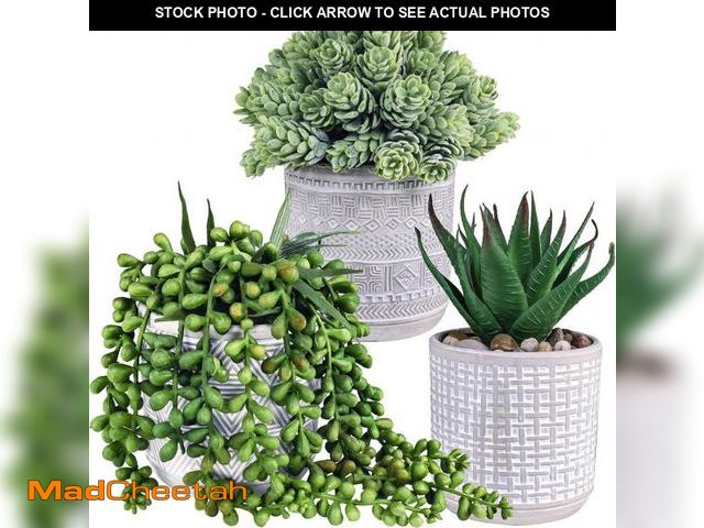 Lot 74-12331512 - Set of 3 Assorted Small Potted Succulent Plants Fake Aloe String of Pearls Hops Succulents in Gray G...