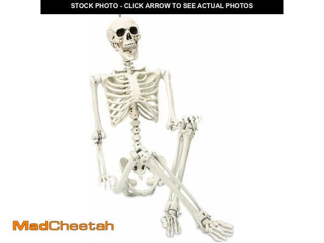 Lot 74-12708810 - Abakuku 5.4 ft Posable Halloween Skeleton Decorations,Human Bones for Halloween Party with Movable J...