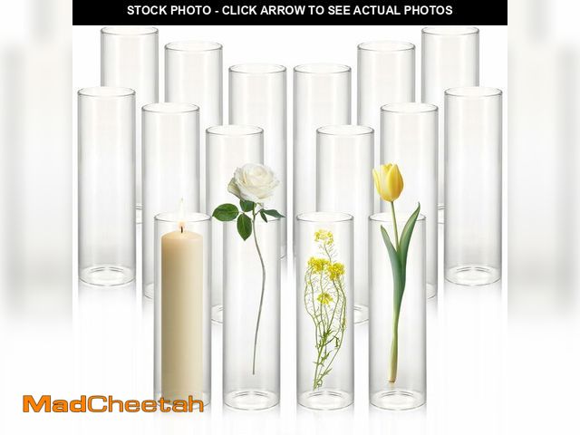 Lot 74-13966128 - Tigvio 16 Pack 5.9" Tall x 1.8" Diameter Clear Glass Cylinder Vases - Multi-Use Flower Vase, Hurrica...