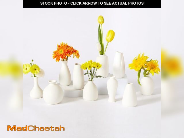 Lot 74-14263211 - 10pc Ceramic Bud Vases Set - 2-3 Inch White Small Vases Collection for Flowers | Boho &amp; Modern C...