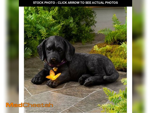 Lot 74-10390034 - Labrador Retriever Puppy Statue With Solar Butterfly - UNUSED