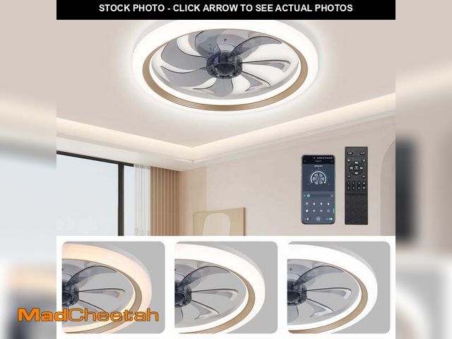 Lot 74-14323671 - LISUNAR 20" Ceiling Fans with Lights and Remote,Gold-Smart Dimmable low profile ceiling fan with lig...