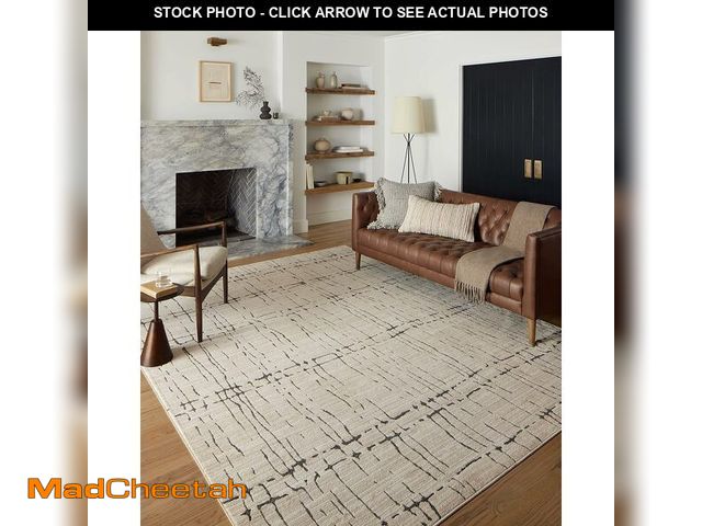 Lot 74-12544213 - Loloi Darby Collection DAR-06 Sand/Dk. Grey 2'-7" x 4' Accent Rug - UNUSED