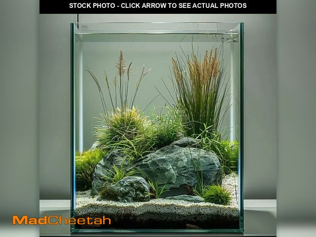 Lot 74-13576132 - Vimvins 3 Gallon Glass Fish Tank, Easy to Maintain Small Aquarium for Betta/Snails/Shrimp and Aquati...