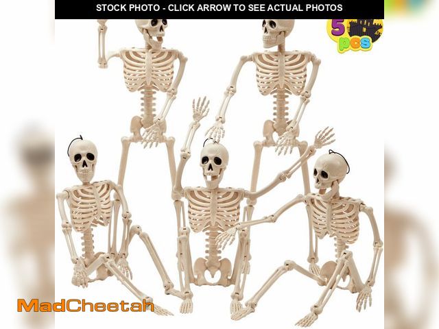 Lot 74-12702266 - JOYIN 5 PCS Posable Halloween Skeleton Decor 16 Inches, Full Body Posable Joints Hanging Skeletons f...