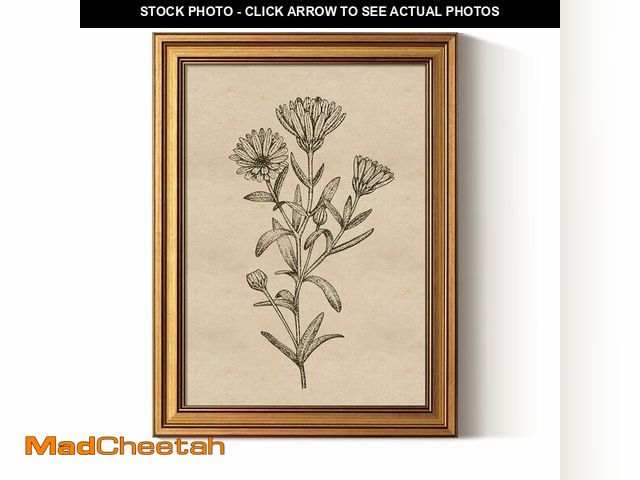 Lot 74-14045136 - ARPEOTCY Gold Framed Canvas Art Prints,12x16inch, Botanical Wildflower Art Painting, Vintage Country...