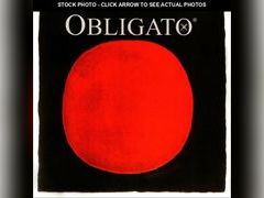 Lot 74-12457240 - undefined