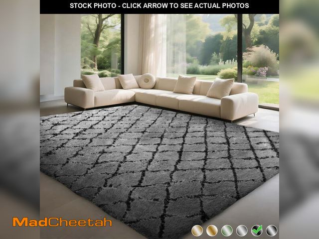 Lot 74-12836694 - CozyDesg Shag Area Rugs,8'x10' Soft Fluffy Shaggy Carpet for Living Room,Large Rug for Bedroom Dinin...