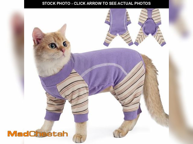 Lot 74-14272671 - Sticky Cat Clothes, Sphynx Hairless Pajamas for Cats only, Soft Onesie for Kitten, Female Male &amp;...