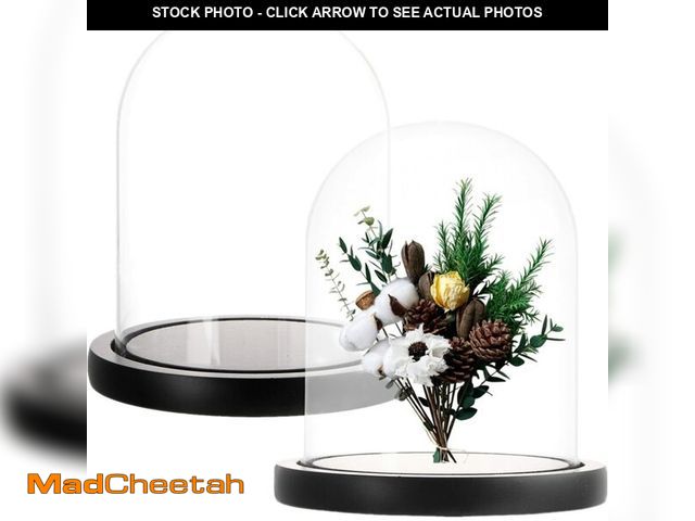 Lot 74-12444968 - ZOOFOX Set of 2 Glass Dome Cloche with Black Wooden Base, 5.7" x 6.5" Decorative Bell Jar Display Do...