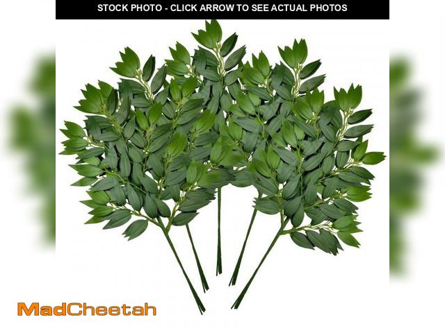 Lot 74-12306866 - FUNORNAM 24Pcs Italian Ruscus Greenery Stems Artificial Silk Greenery Plants Spray for DIY Wedding A...