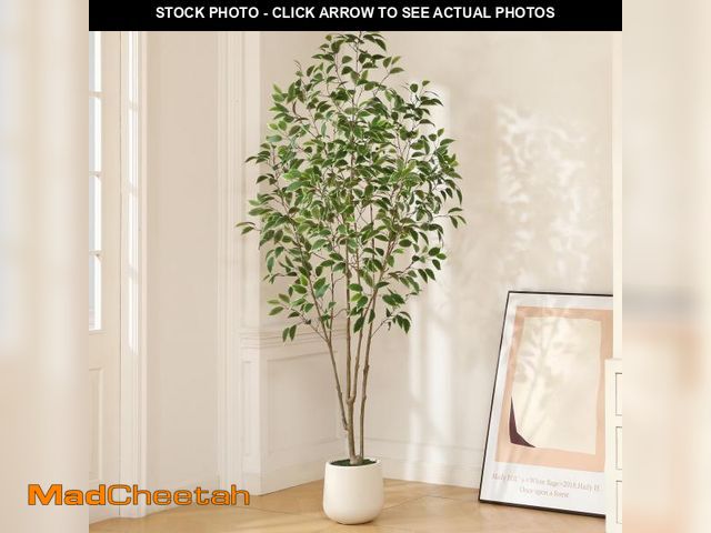 Lot 74-12166621 - 7ft Fake Ficus Tree with Oval White Planter, Pre Potted Faux Greenry Plant for Home Decor Office Hou...