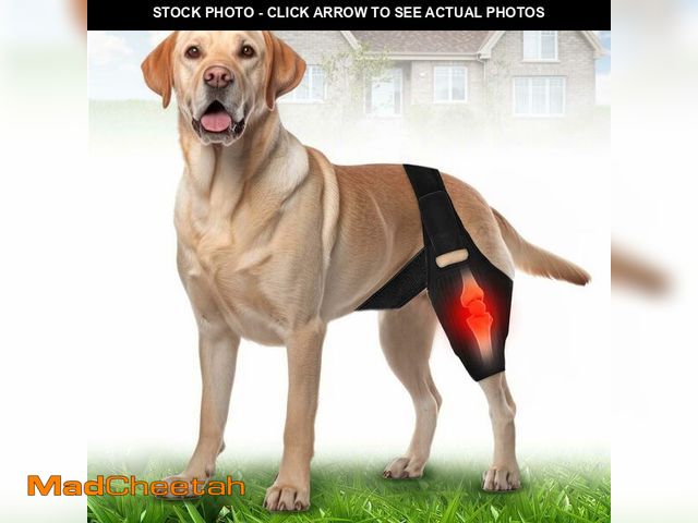 Lot 74-13967379 - YihuaTop Dog Knee Brace Leg Braces - Adjustable Dog Leg Brace for Torn ACL Hind Leg Joint Pain Muscl...