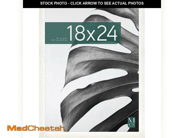 Lot 74-13836097 - MCS Studio Gallery 18x24 Poster Frame White Woodgrain Engineered Wood, Vertical &amp; Horizontal Wal...