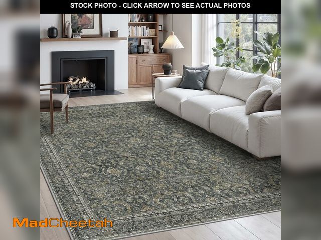 Lot 74-12705408 - Rugland 5x7 Area Rugs - Stain Resistant Washable Rug, Anti Slip Rugs for Living Room, Vintage Tribal...