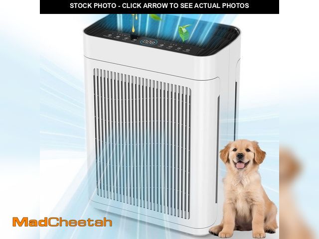 Lot 74-13691687 - Edendirect 3000 sq. ft. White HEPA Personal Room Air Purifier with Smart Controls and Whisper-Quiet,...