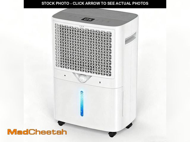Lot 74-14182164 - Edendirect 100 pt. 6,500 sq.ft. Dehumidifier for Basement, with Bucket, Drain Hose, Auto Shutoff, Du...