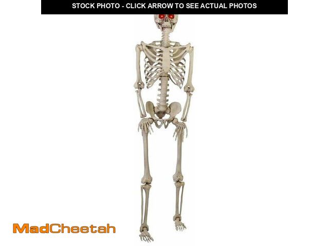 Lot 74-12885003 - 5 ft. Poseable Skeleton with LED Illumination - USED