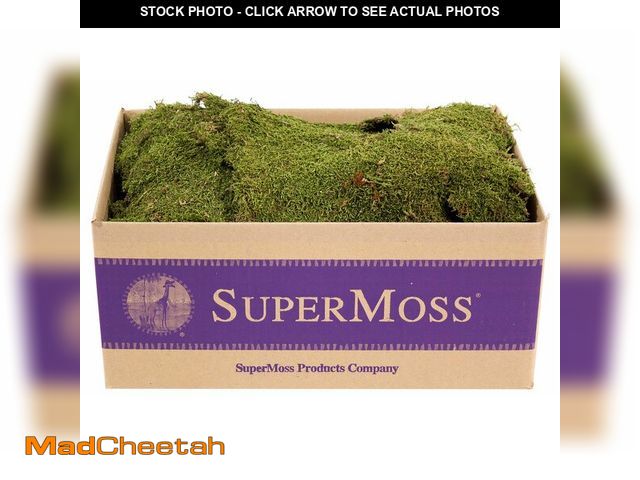 Lot 74-13965784 - SuperMoss (21588) Sheet Moss Preserved, Natural, 5 Pounds (20-24 sq. ft.) - UNUSED