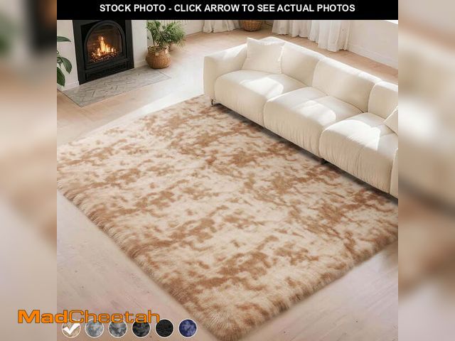 Lot 74-12782185 - CozyDesg 5ft x 8ft Area Rugs, Soft Fluffy Area Rugs Floor Mat Floor Rugs for Living Room Bedroom Mod...