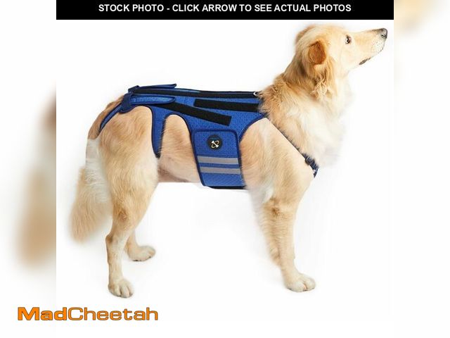 Lot 74-14146152 - Coodeo Dog Back Brace for Dogs Arthritis, Pet Back Bracer for IVDD, Back Protector Helps Pain Relief...