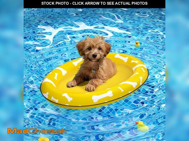 Lot 74-14271147 - Pet Soft Dog Float Raft - Inflatable Dog Swimming Float for Summer (Small, Yellow Bones) - UNUSED