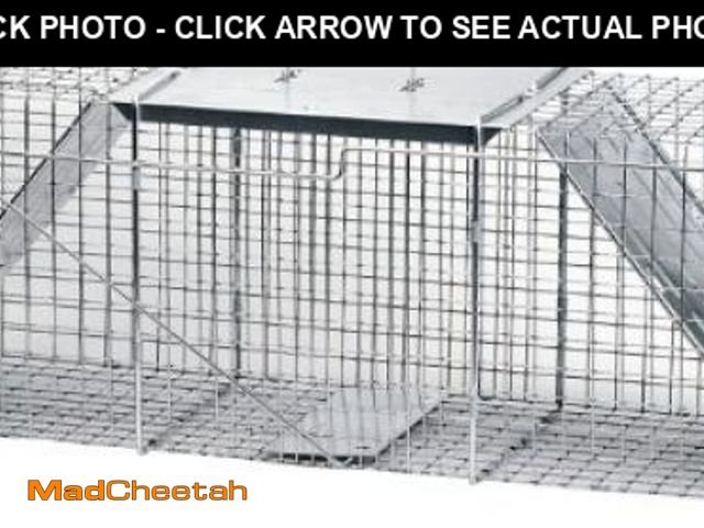 Lot 74-12399831 - Havahart 1045SR Large 2-Door Humane Catch and Release Live Animal Trap for Armadillos, Beavers, Bobc...