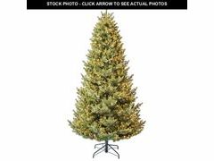 Lot 74-12788844 - undefined