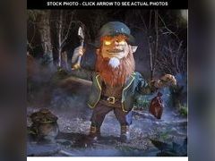 Lot 74-12856514 - undefined