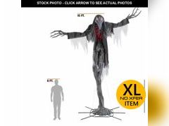 Lot 74-12772312 - undefined