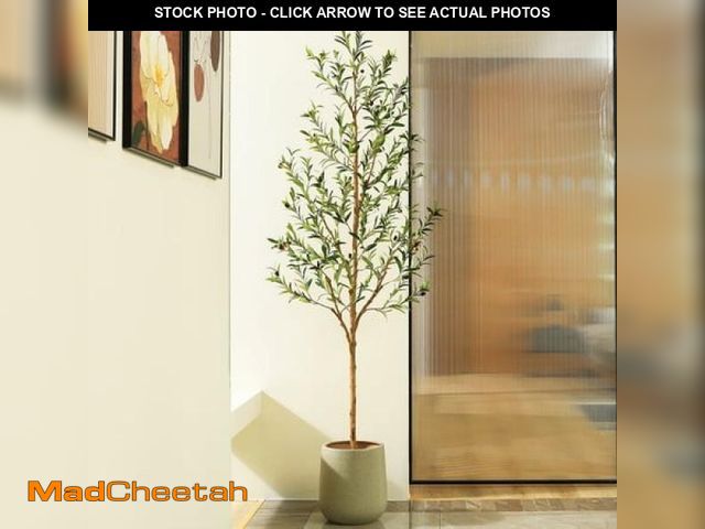 Lot 74-12166555 - 7FT Artificial Olive Tree with Fruits and Wood Branches  Potted Faux Olive Plants. 12 Lb. DR.Planzen...