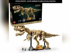 Lot 74-13640683 - undefined