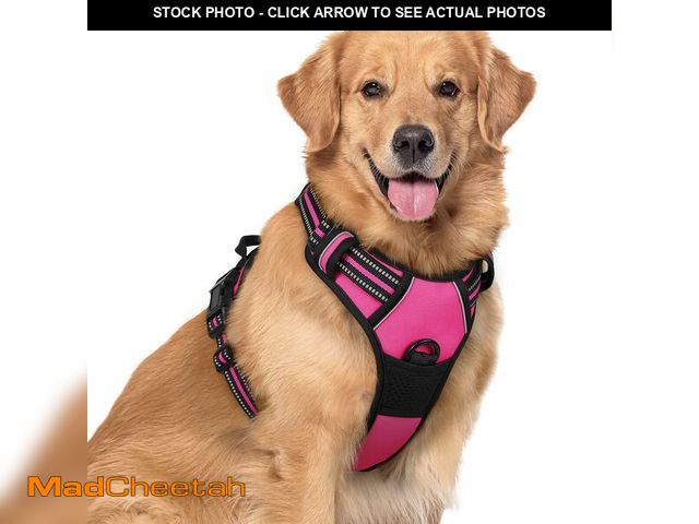 Lot 74-14271611 - rabbitgoo Dog Harness No Pull with 2 Leash Clips, Adjustable Soft Padded, Reflective Oxford No Choke...