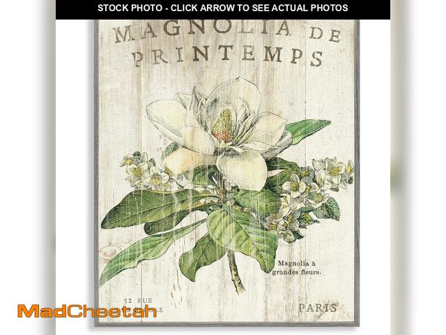 Lot 74-12828196 - Stupell Industries French Magnolias In Spring Framed Giclee Art Design by Sue Schlabach - UNUSED