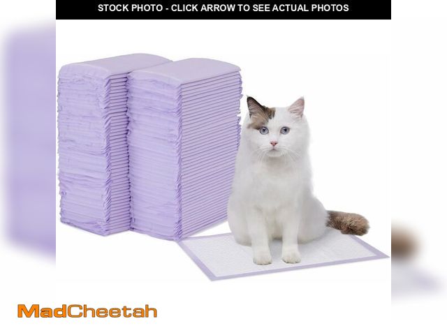 Lot 74-14349230 - Basics Cat Pee Pads, Super Absorbent, Odor Control with Fresh Scent, Universal Fit for Litter Box, M...