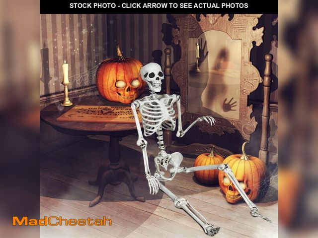 Lot 74-12767114 - Costway 5.4ft Halloween Christmas Skeleton Life Size Realistic Full Body Hanging with Movable Joints...