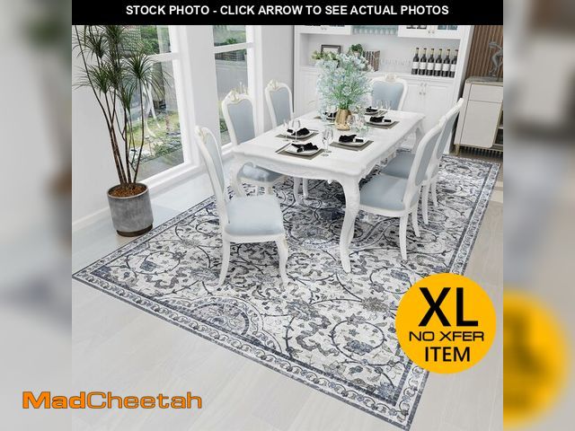 Lot 74-12572454 - SALLOUS Vinyl Floor Mat for Home, 5' x 8' Waterproof Area Rug for Living Room, Non-Slip Area Rug for...