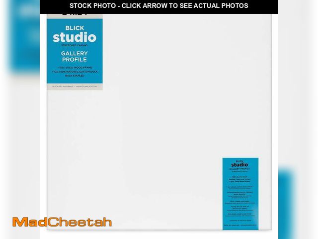 Lot 74-14436741 - Blick Studio Stretched Cotton Canvas - Gallery Profile, 24" x 24" - UNUSED