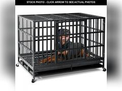 Lot 74-12134475 - undefined