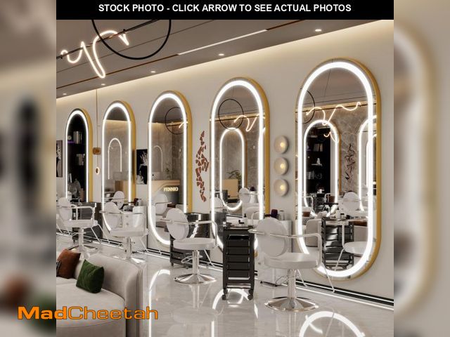 Lot 74-12494212 - FENNIO 70" x 32" Large Luxury Wall Mounted Mirror with LED Lights - Oval Full Length LED Lighted Ful...