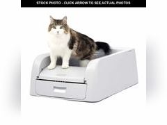 Lot 74-12781095 - undefined