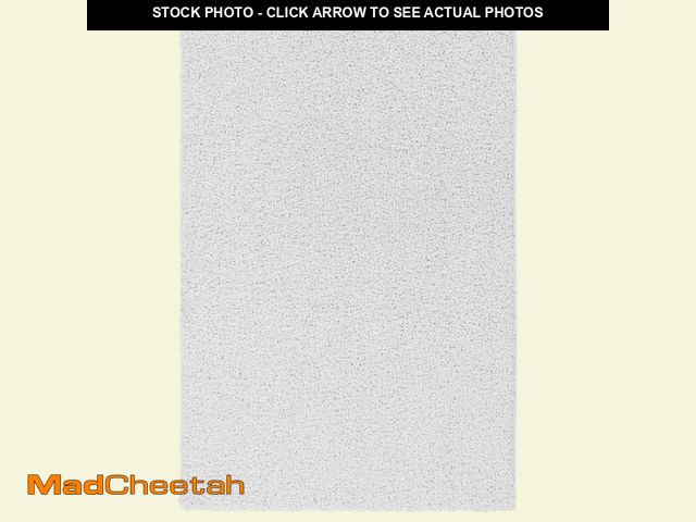 Lot 74-12869854 - Garland Rug Southpointe Shag White 9 ft. x 12 ft. Solid Rectangle Area Rug - UNUSED