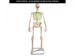 Lot 74-12255581 - undefined