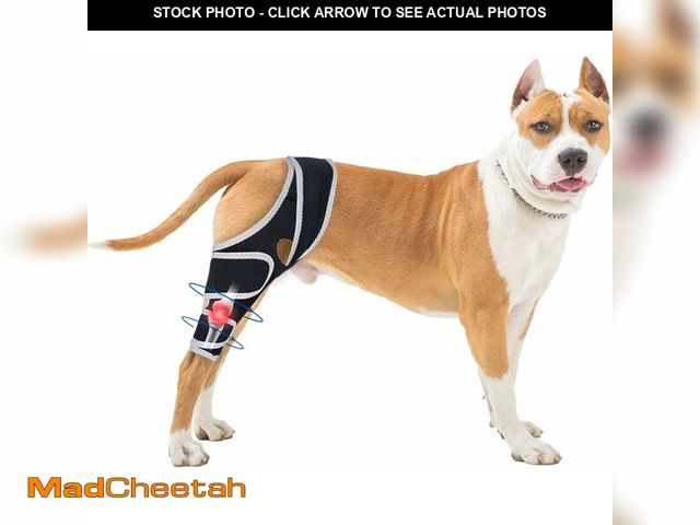Lot 74-12450148 - Adjustable Leg Support Bracket for Warmth and SupportÃ¯Â¼ÅDog Knee Brace for Torn Acl Hind Leg - Re...