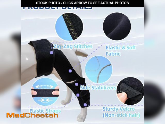 Lot 74-11557705 - Tinzum XS Dog Leg Braces for Back Leg for Support with Cruciate Ligament Injury-Better Recovery with...