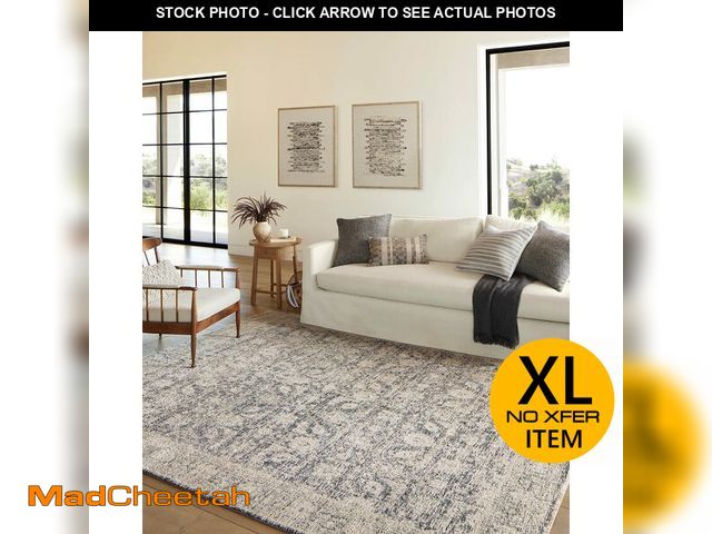 Lot 74-12688813 - Loloi Amber Lewis Alie Collection ALE-05 Charcoal/Beige 7'-10" x 10', .13" Pile Height, Area Rug - U...